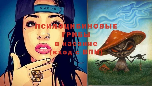 МДМА Новозыбков
