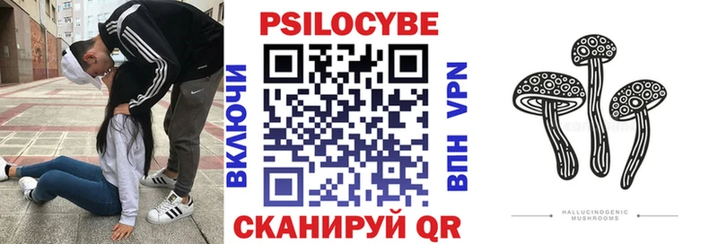 Псилоцибиновые грибы ЛСД Западная Двина