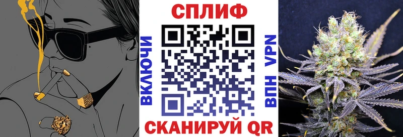 магазин наркотиков darknet официальный сайт Шишки марихуана планчик Западная Двина